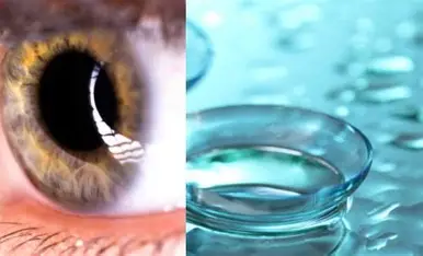 Contact Lens की एक छोटी गलती पड़ सकती है भारी! आंखों की रोशनी तक छीन सकता है खतरनाक Acanthamoeba संक्रमण