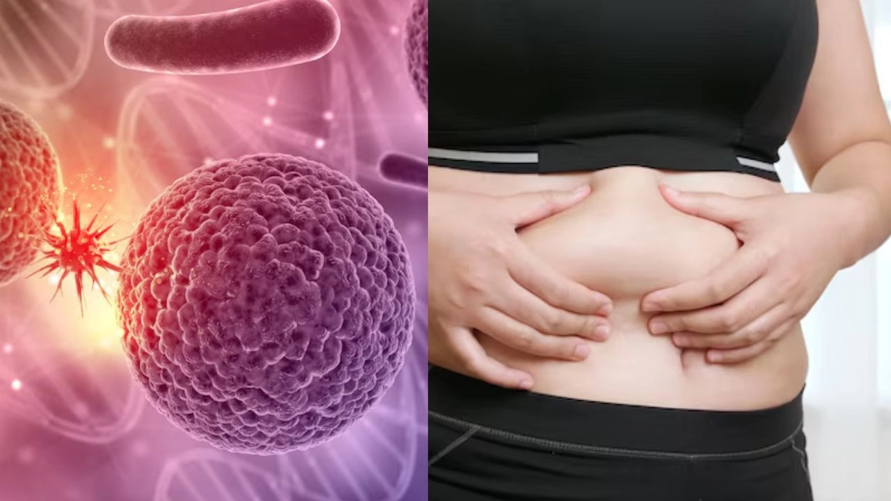 Healthy Diet: बढ़ता मोटापा बन सकता है कैंसर की वजह? लिवर से ब्रेस्ट तक 6 तरह के कैंसर का बढ़ सकता है खतरा, जानें बचाव के तरीके